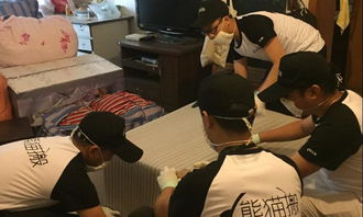 樂(lè)山精品搬家服務(wù)與室內(nèi)外裝飾工程設(shè)計(jì) 打造高品質(zhì)生活空間
